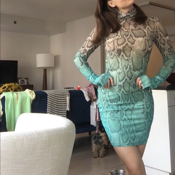 Meet your Posher, Toronto - Picture 1 of 1